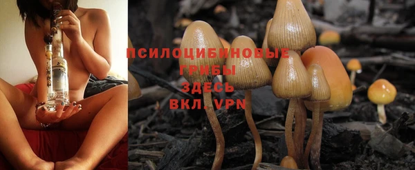 амфетамин Алексеевка