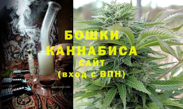 крисы Алзамай