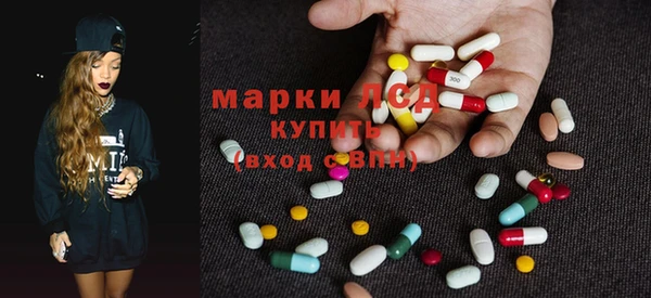 крисы Алзамай