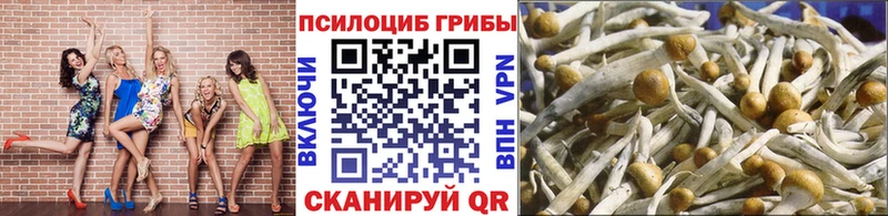 гидра рабочий сайт купить закладку Чердынь Галлюциногенные грибы Psilocybe