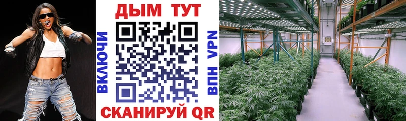 как найти наркотики  Чердынь  Бошки марихуана Amnesia 